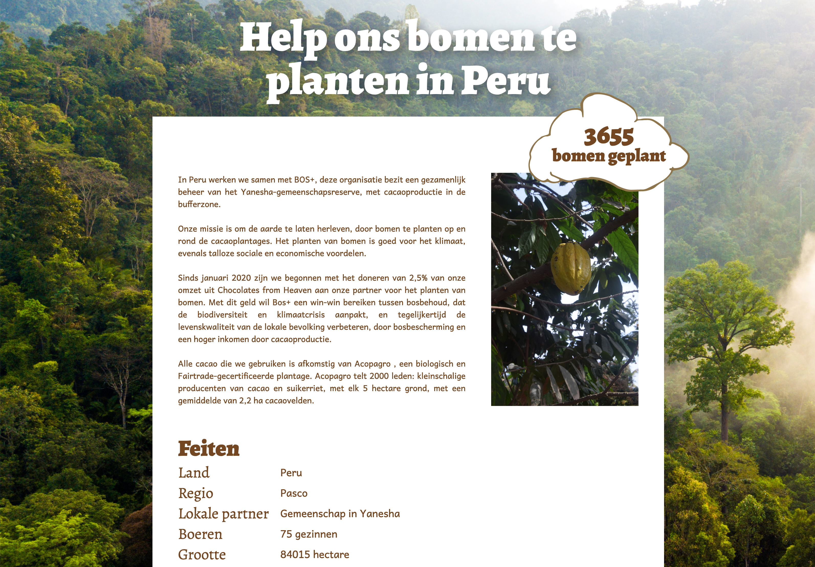 Klingele Chocolade - Tree Tracker